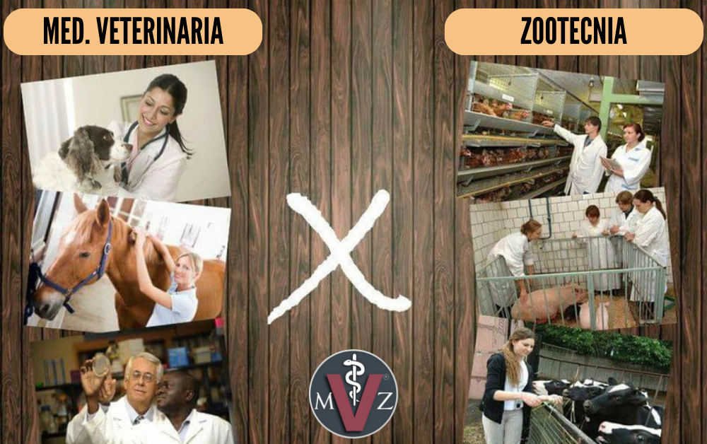 Diferencia entre Zootecnia y Medicina Veterinaria