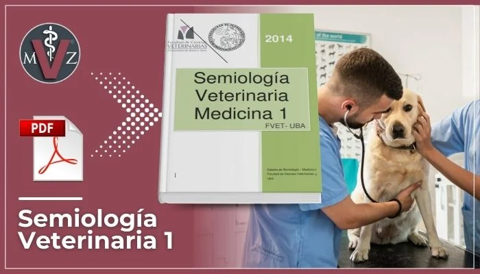 exploración clínica del aparato digestivo en animales