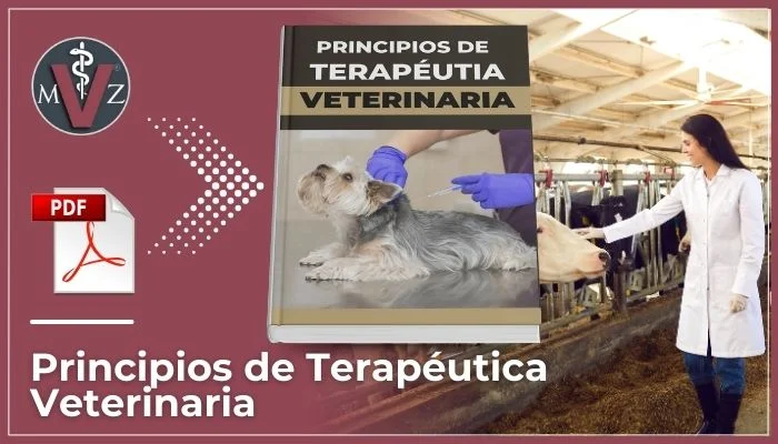 uso racional de antibióticos en medicina veterinaria