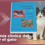 anatomía clínica del perro y el gato