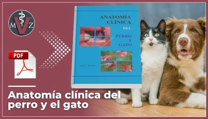 anatomía clínica del perro y el gato