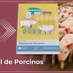 razas porcinas