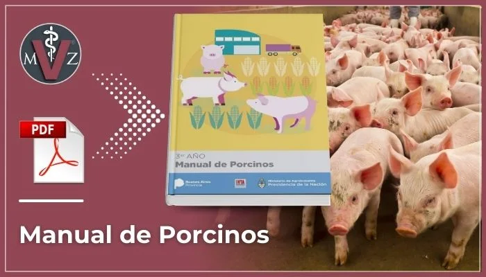 razas porcinas
